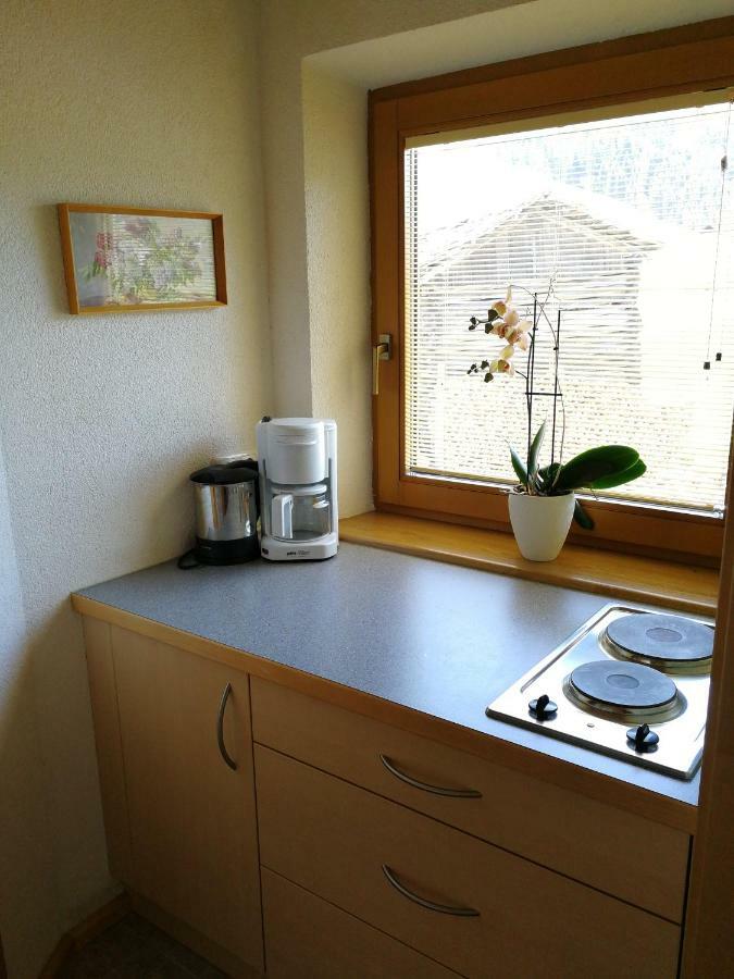 Ferienwohnung Haus Holzer Kals-am Großglockner Exterior foto